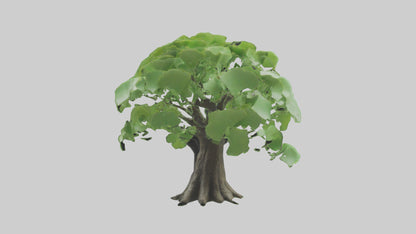 3D model Ginkgo tree model VR / AR / low-poly