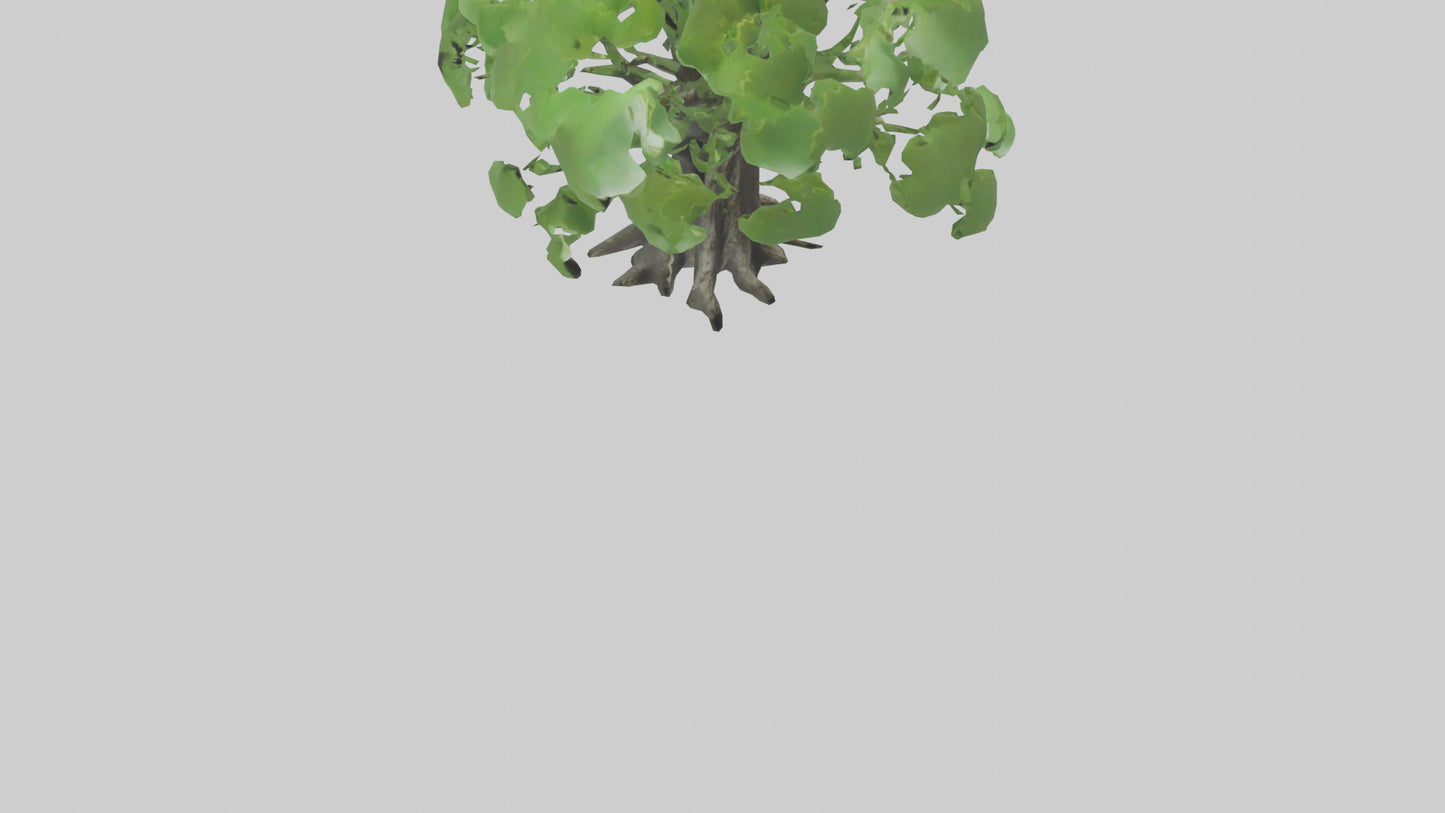 3D model Ginkgo tree model VR / AR / low-poly