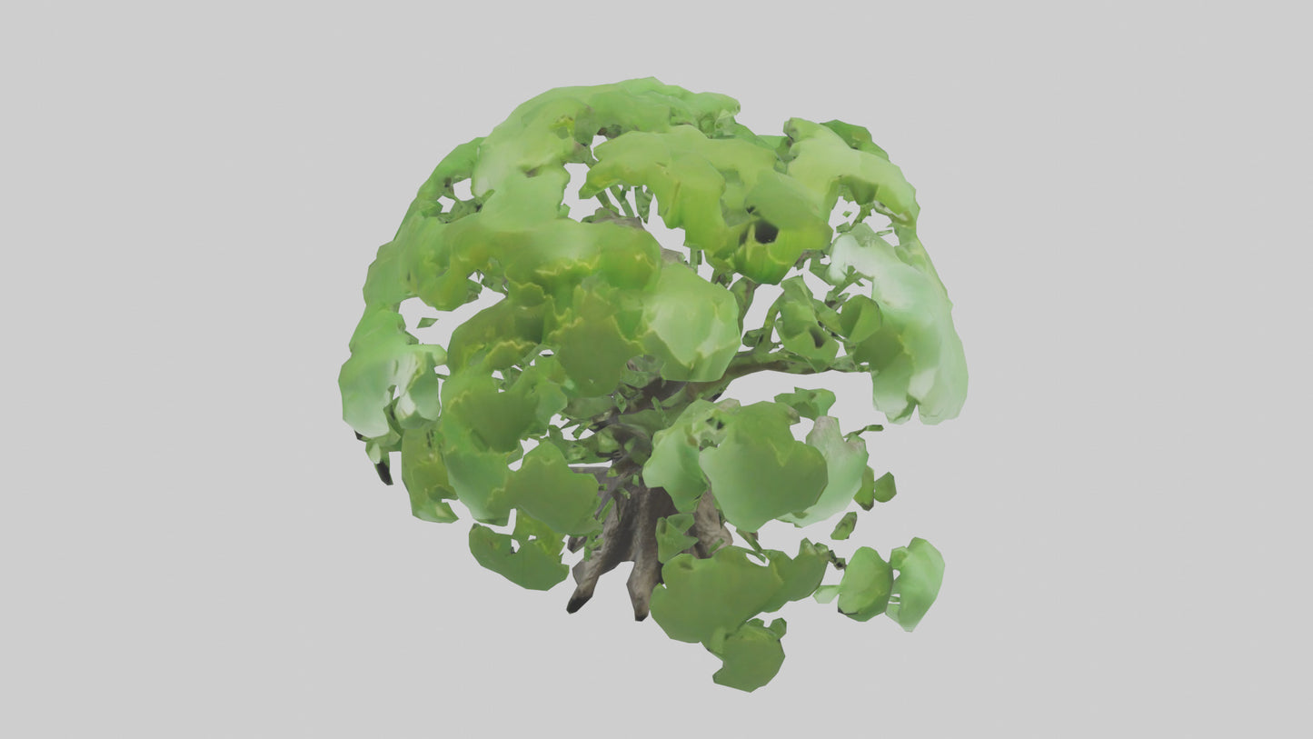 3D model Ginkgo tree model VR / AR / low-poly