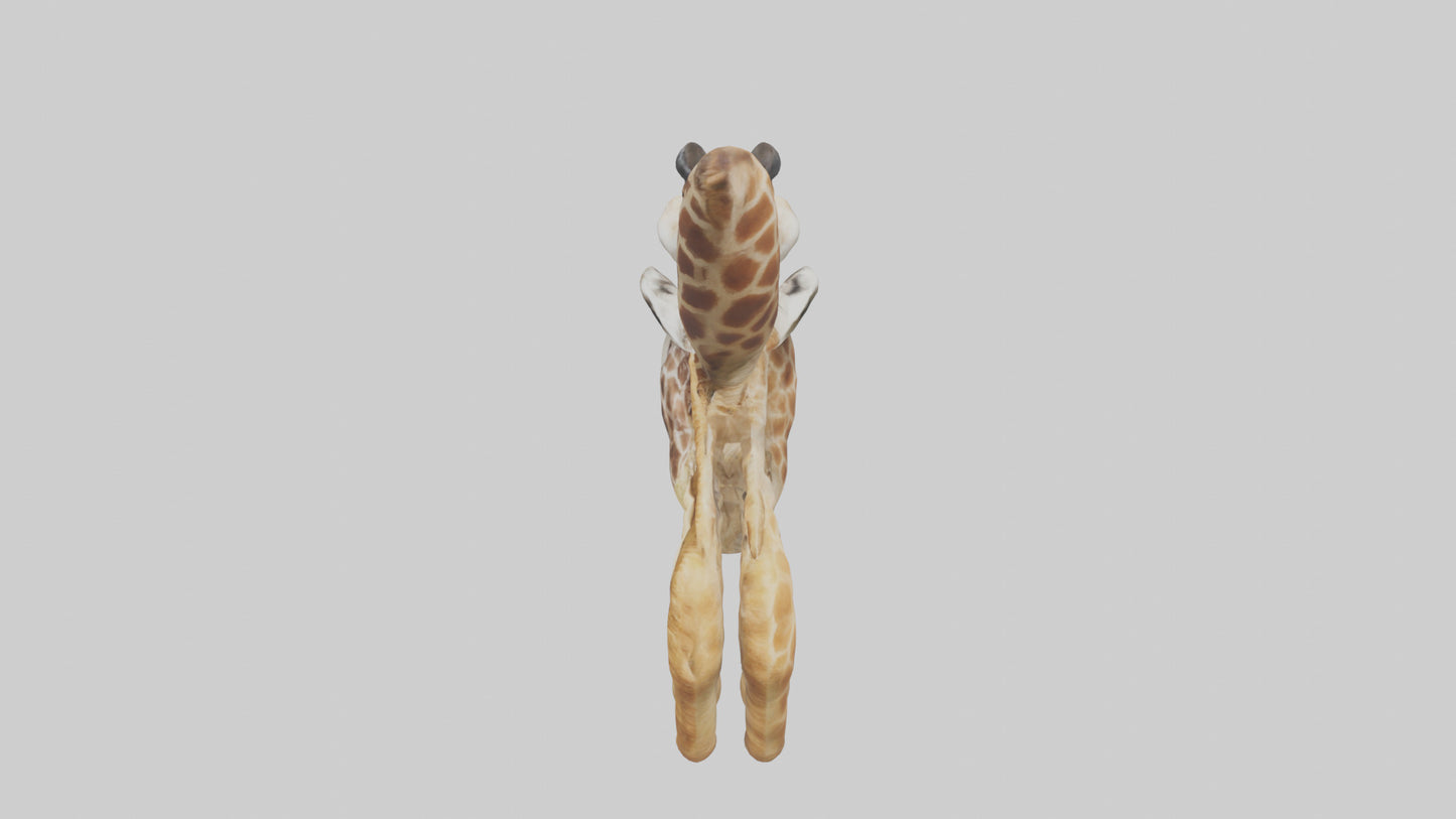 3D model Giraffe Digestive System VR / AR / low-poly
