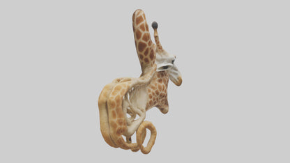 3D model Giraffe Digestive System VR / AR / low-poly