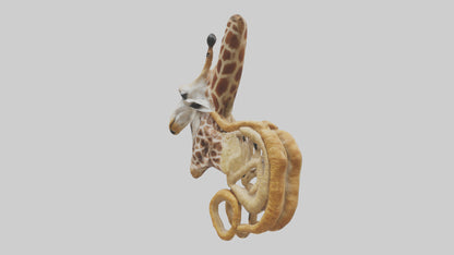 3D model Giraffe Digestive System VR / AR / low-poly