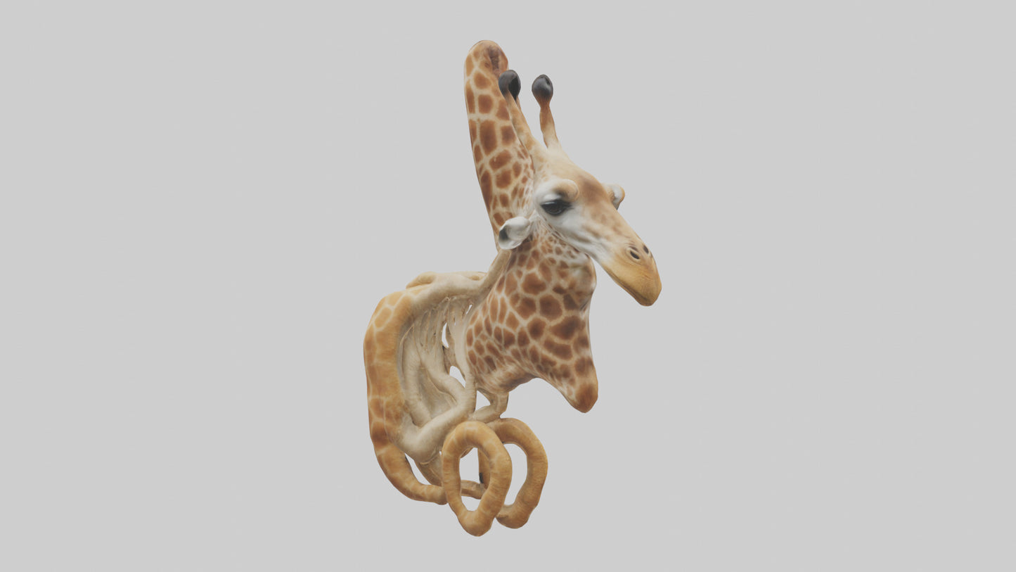 3D model Giraffe Digestive System VR / AR / low-poly