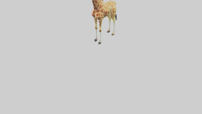 3D model Giraffe grazing model VR / AR / low-poly