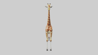 3D model Giraffe grazing model VR / AR / low-poly
