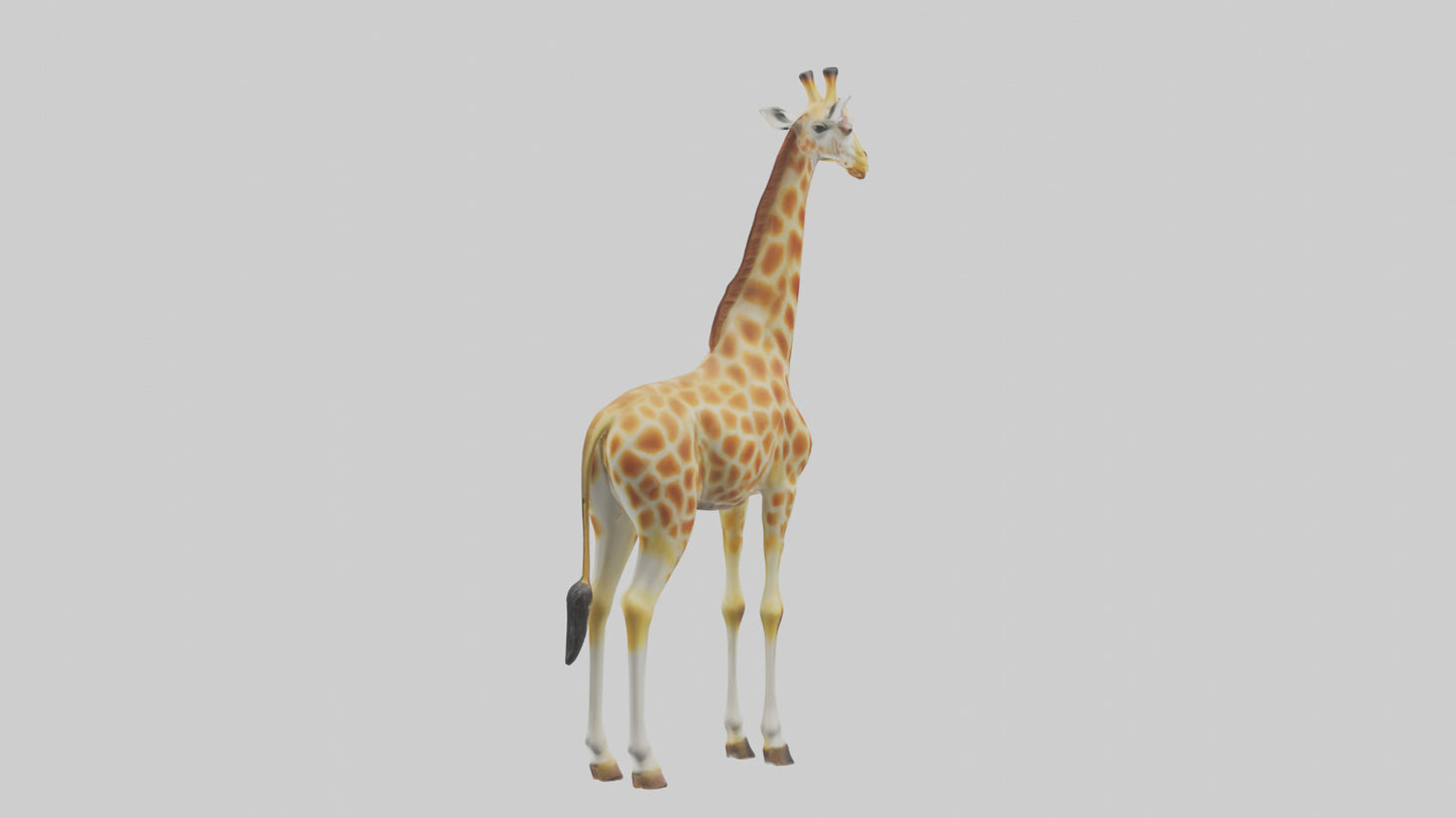3D model Giraffe grazing model VR / AR / low-poly