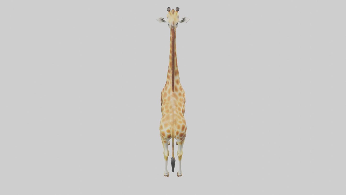 3D model Giraffe grazing model VR / AR / low-poly