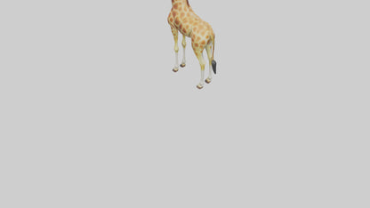 3D model Giraffe grazing model VR / AR / low-poly