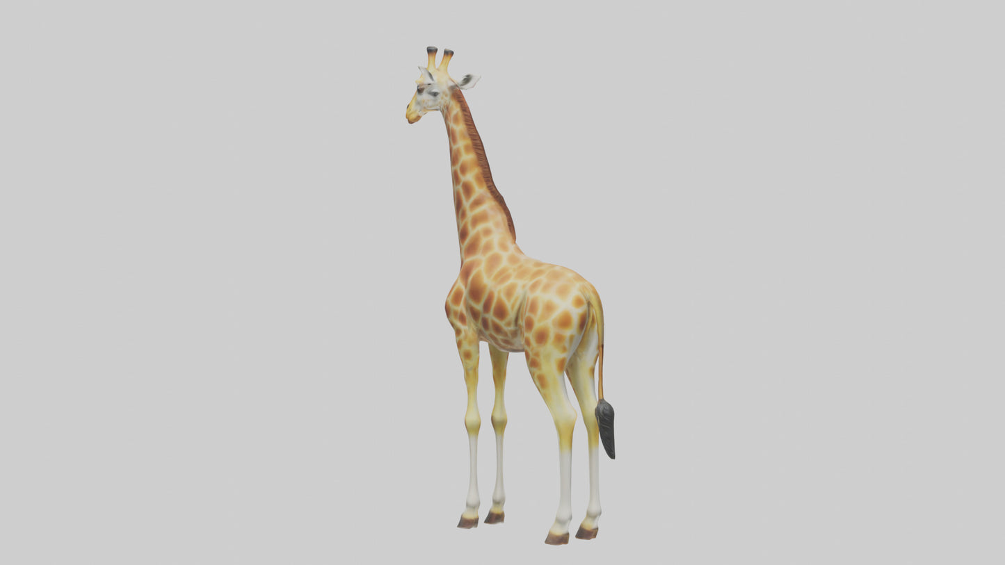 3D model Giraffe grazing model VR / AR / low-poly
