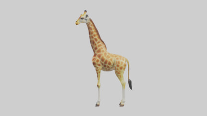 3D model Giraffe grazing model VR / AR / low-poly