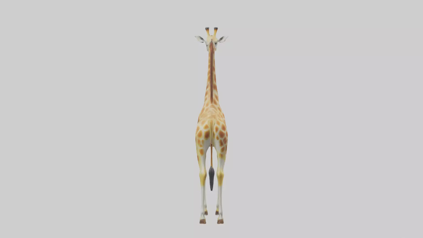3D model Giraffe grazing model VR / AR / low-poly