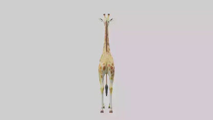 3D model Giraffe grazing model VR / AR / low-poly