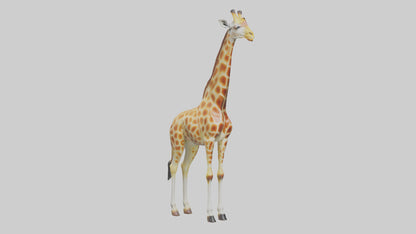 3D model Giraffe grazing model VR / AR / low-poly