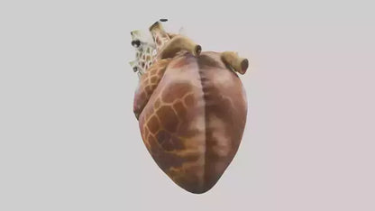 3D model Giraffe Heart VR / AR / low-poly