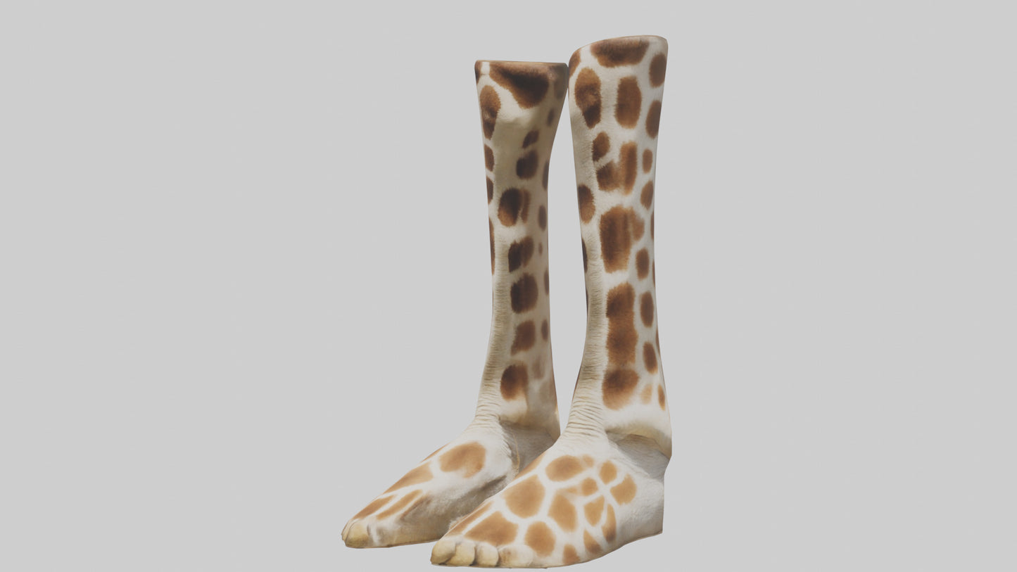 3D model Giraffe Hooves VR / AR / low-poly