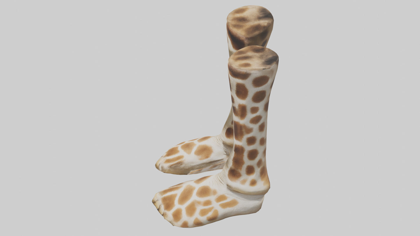 3D model Giraffe Hooves VR / AR / low-poly