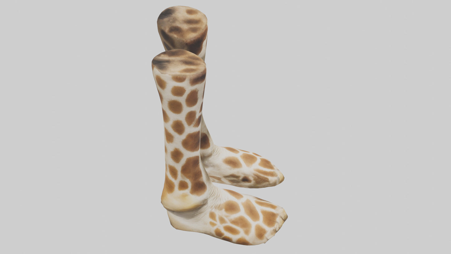 3D model Giraffe Hooves VR / AR / low-poly