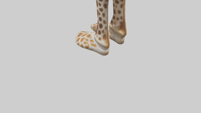 3D model Giraffe Hooves VR / AR / low-poly