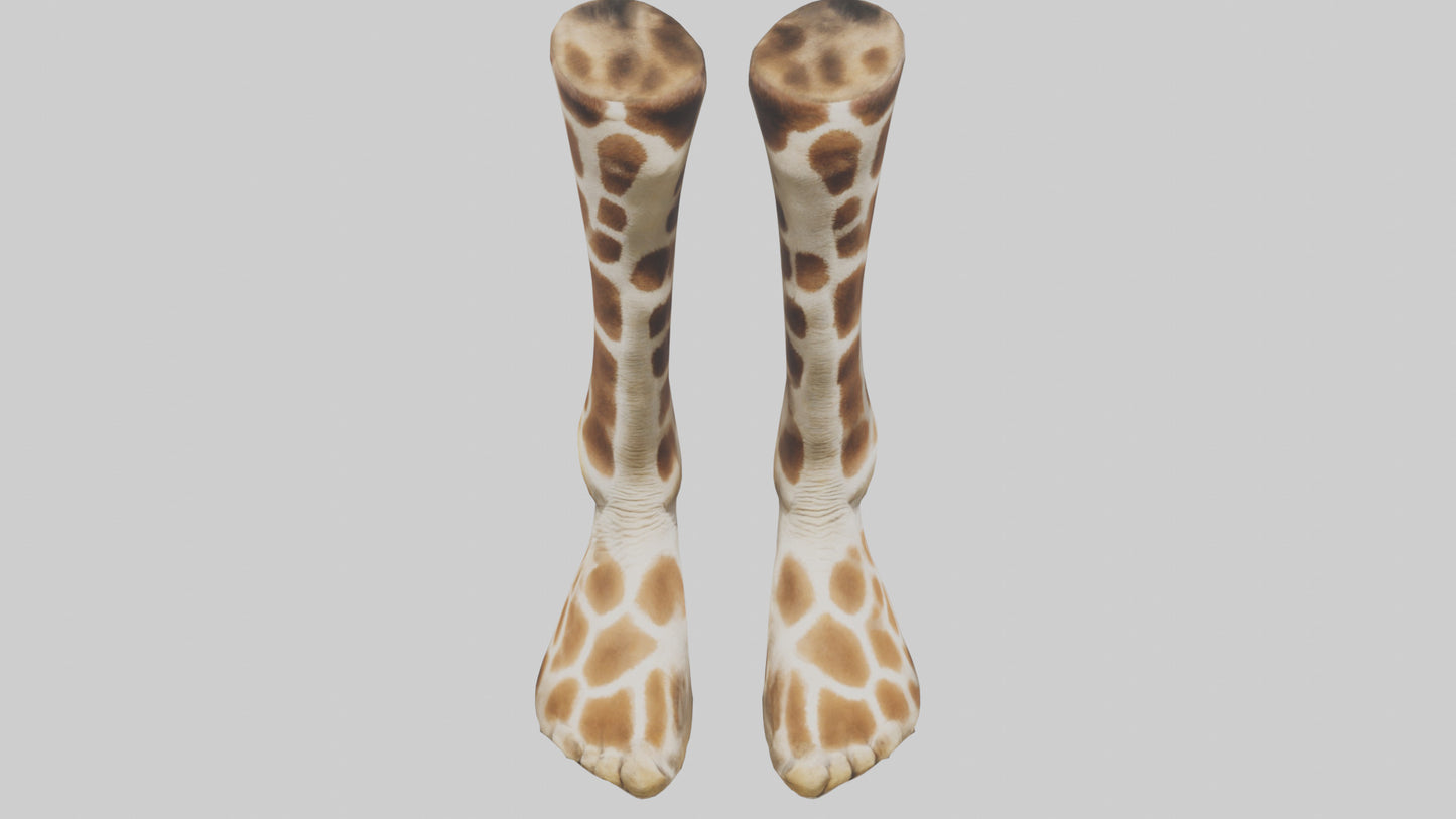 3D model Giraffe Hooves VR / AR / low-poly