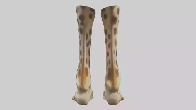 3D model Giraffe Hooves VR / AR / low-poly