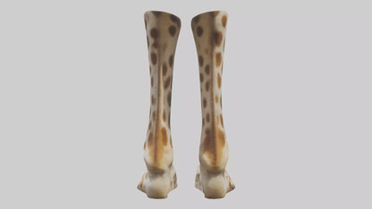 3D model Giraffe Hooves VR / AR / low-poly
