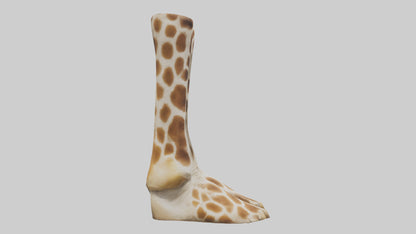 3D model Giraffe Hooves VR / AR / low-poly