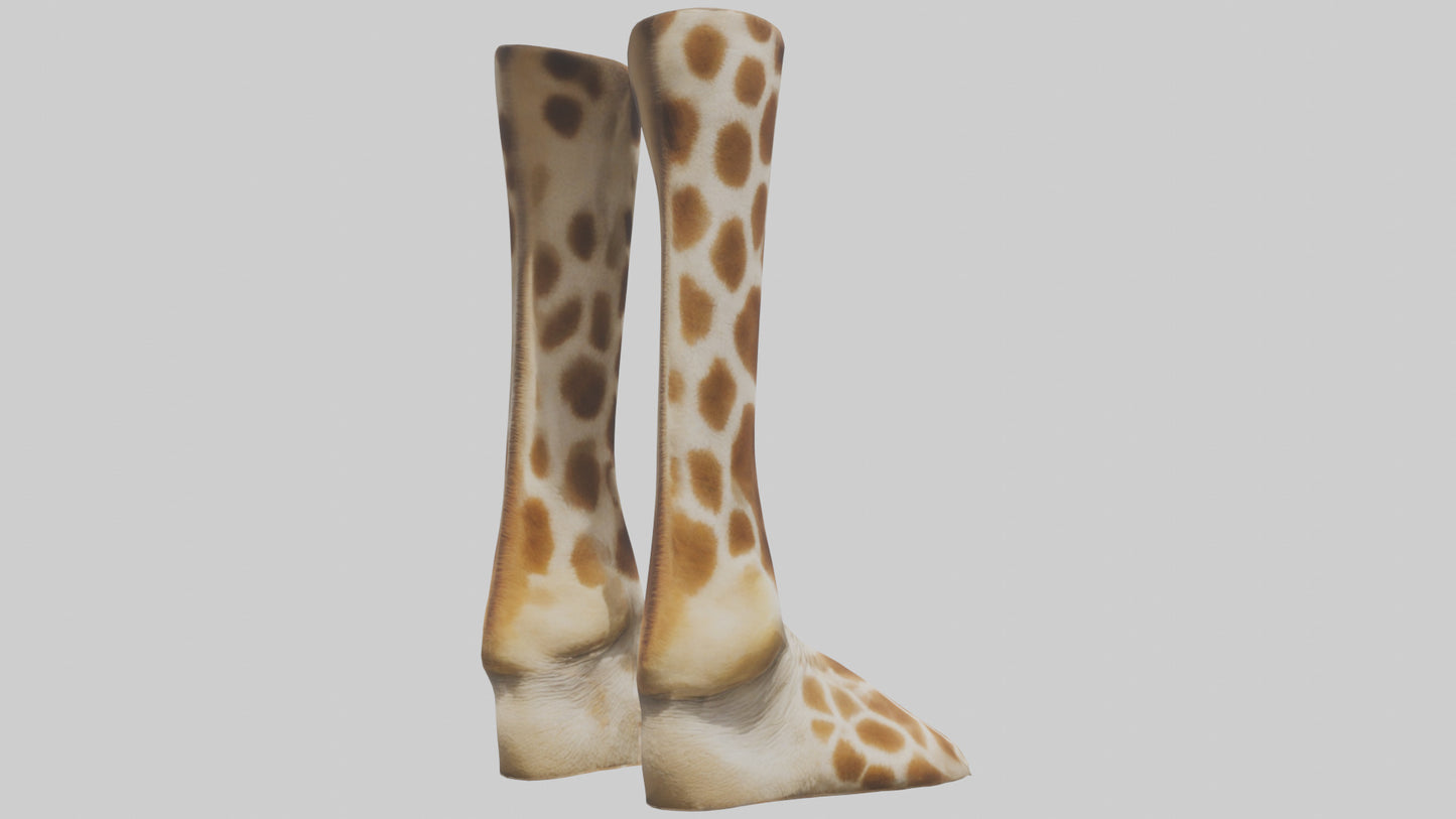 3D model Giraffe Hooves VR / AR / low-poly