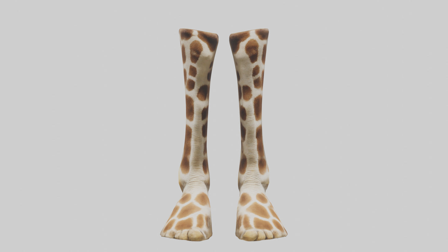 3D model Giraffe Hooves VR / AR / low-poly
