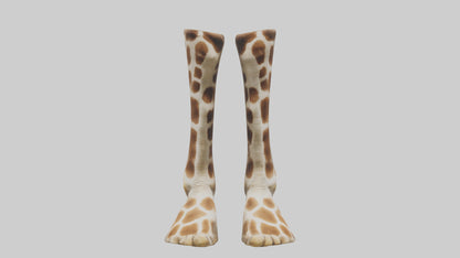 3D model Giraffe Hooves VR / AR / low-poly