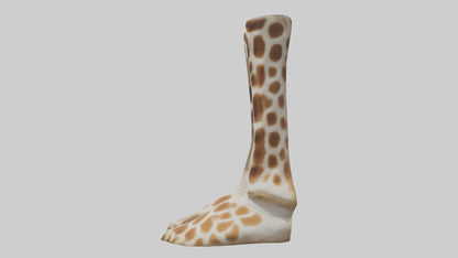 3D model Giraffe Hooves VR / AR / low-poly
