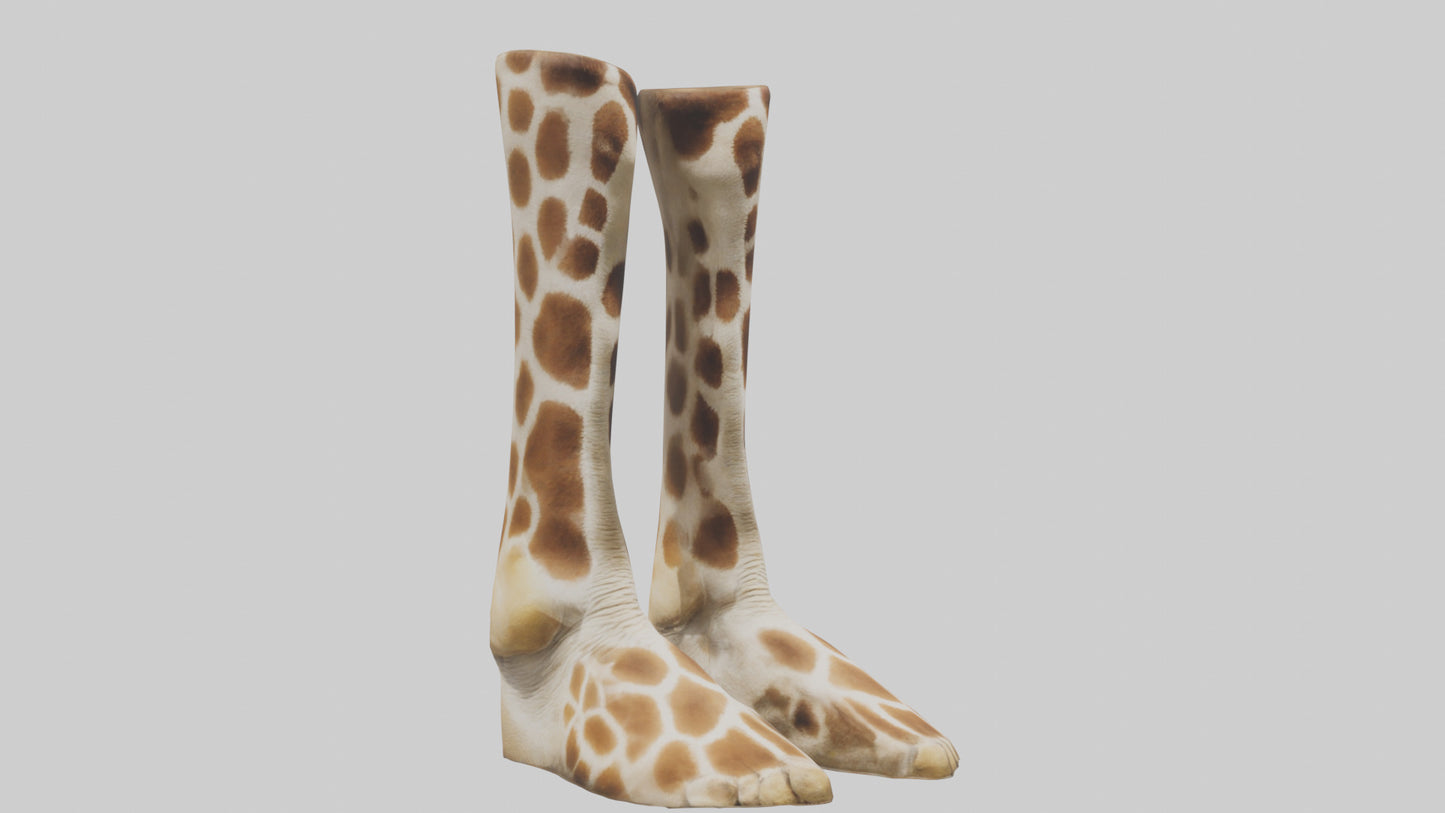 3D model Giraffe Hooves VR / AR / low-poly
