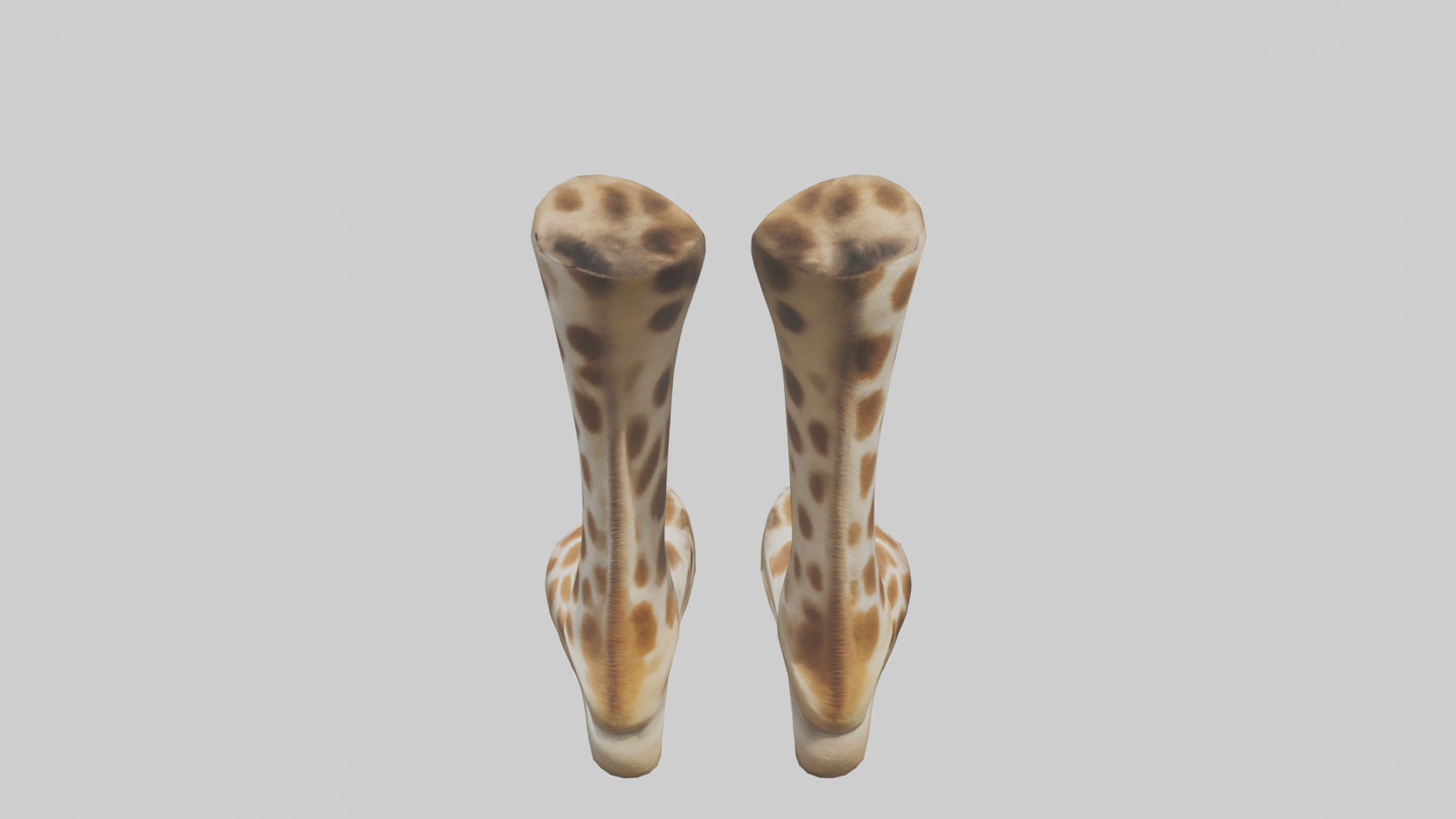3D model Giraffe Hooves VR / AR / low-poly