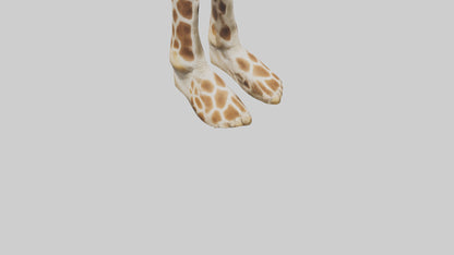3D model Giraffe Hooves VR / AR / low-poly