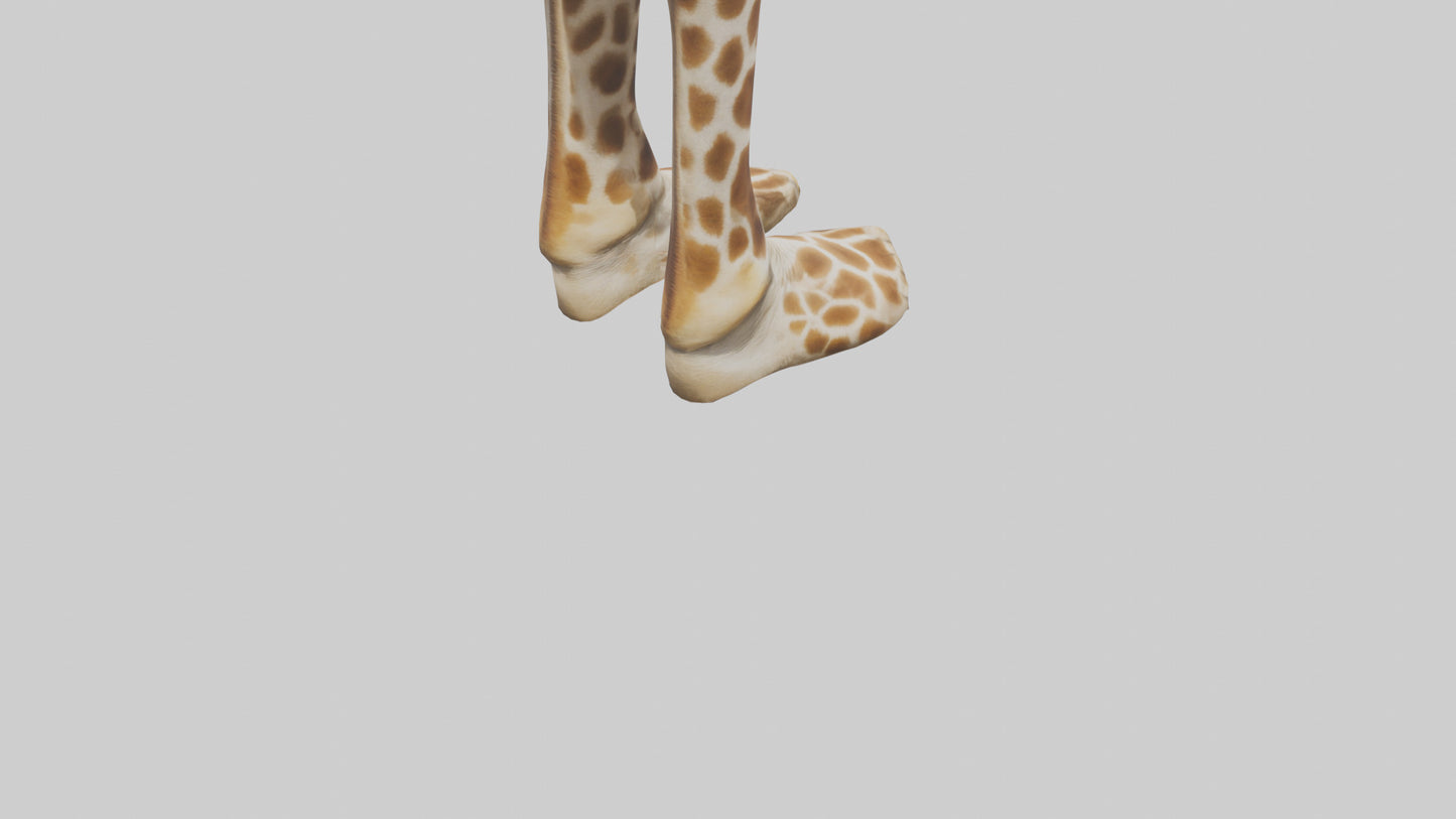 3D model Giraffe Hooves VR / AR / low-poly