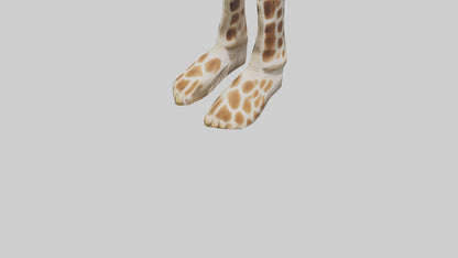 3D model Giraffe Hooves VR / AR / low-poly