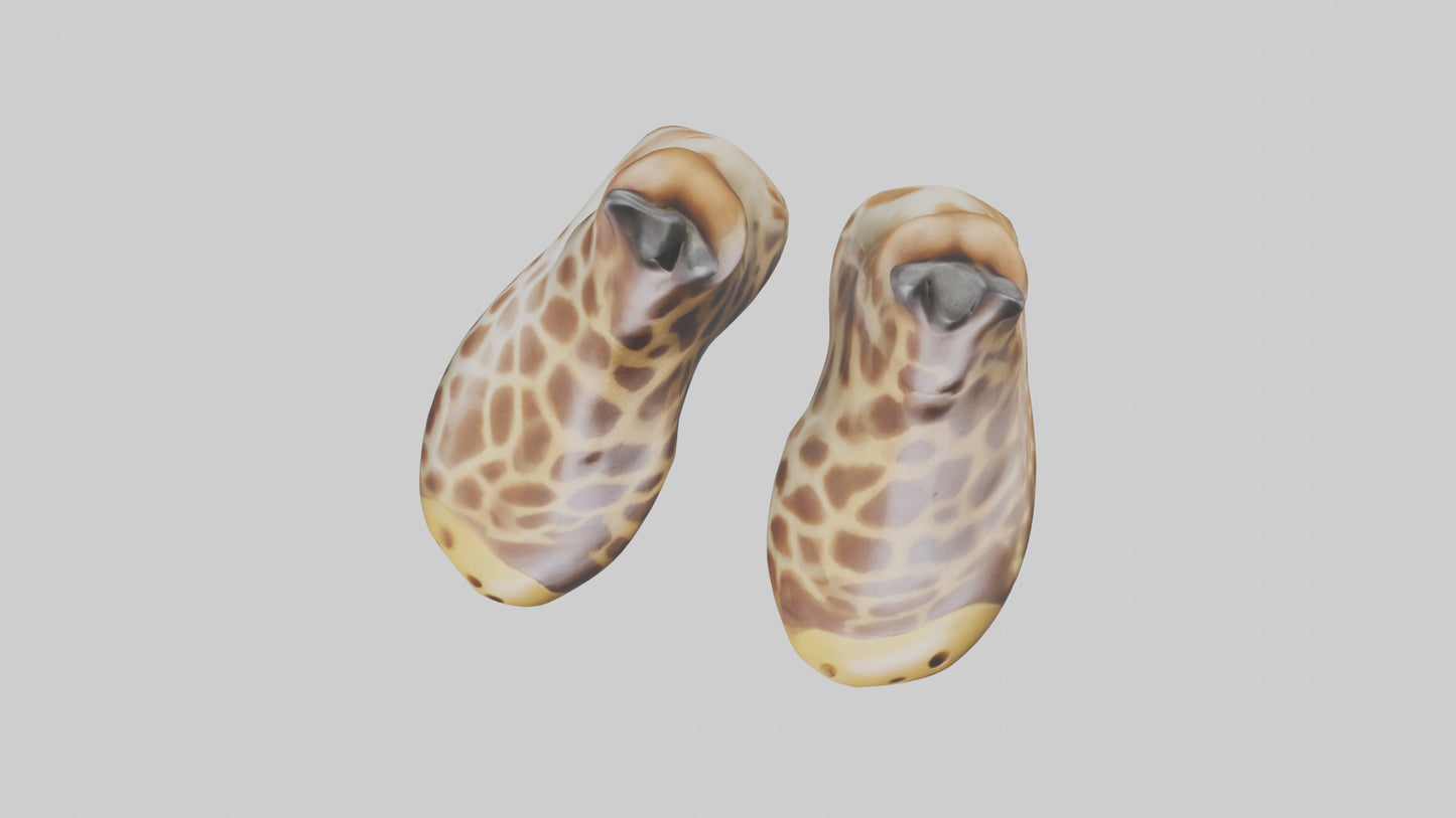 3D model Giraffe Hooves Model VR / AR / low-poly