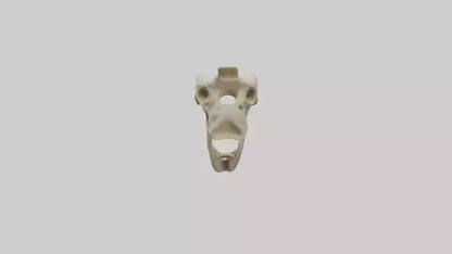 3D model Giraffe Jawbone VR / AR / low-poly