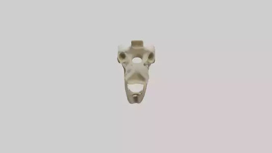 3D model Giraffe Jawbone VR / AR / low-poly