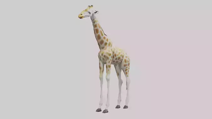 Giraffe Legs Model VR / AR / low-poly