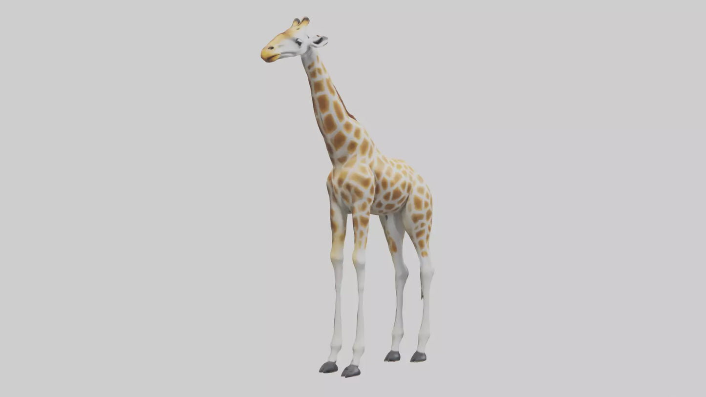 Giraffe Legs Model VR / AR / low-poly