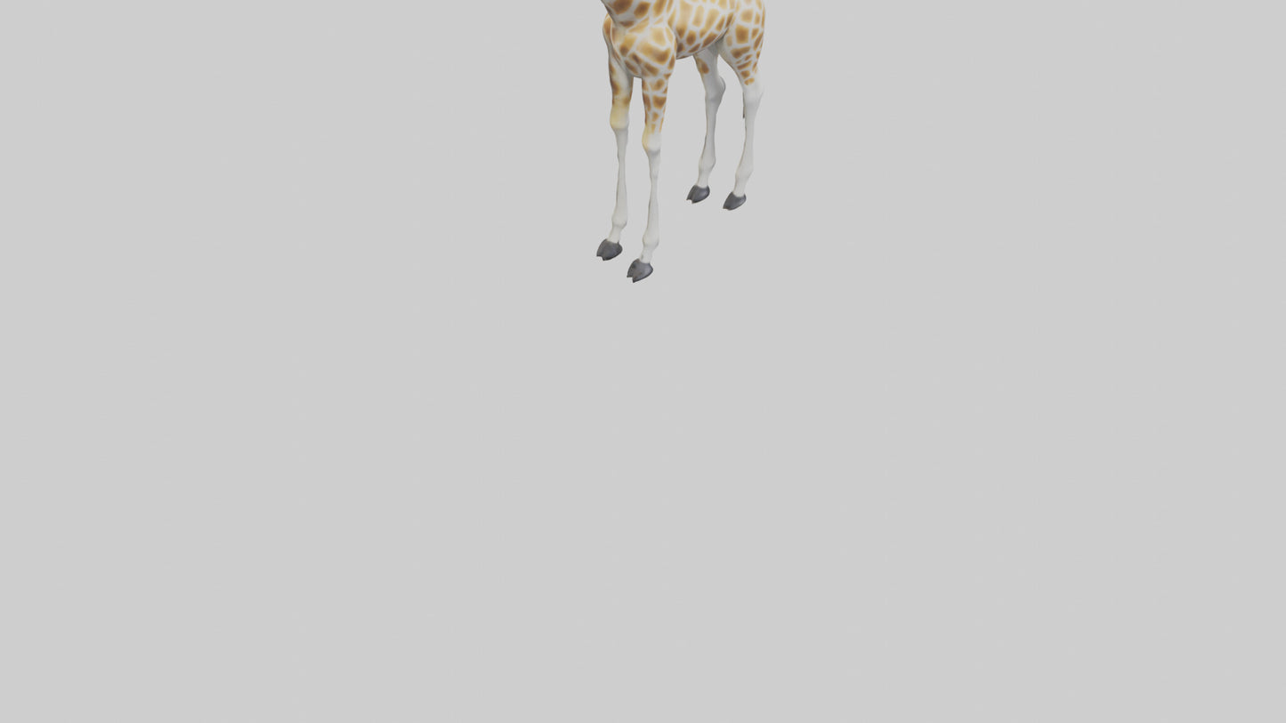 Giraffe Legs Model VR / AR / low-poly