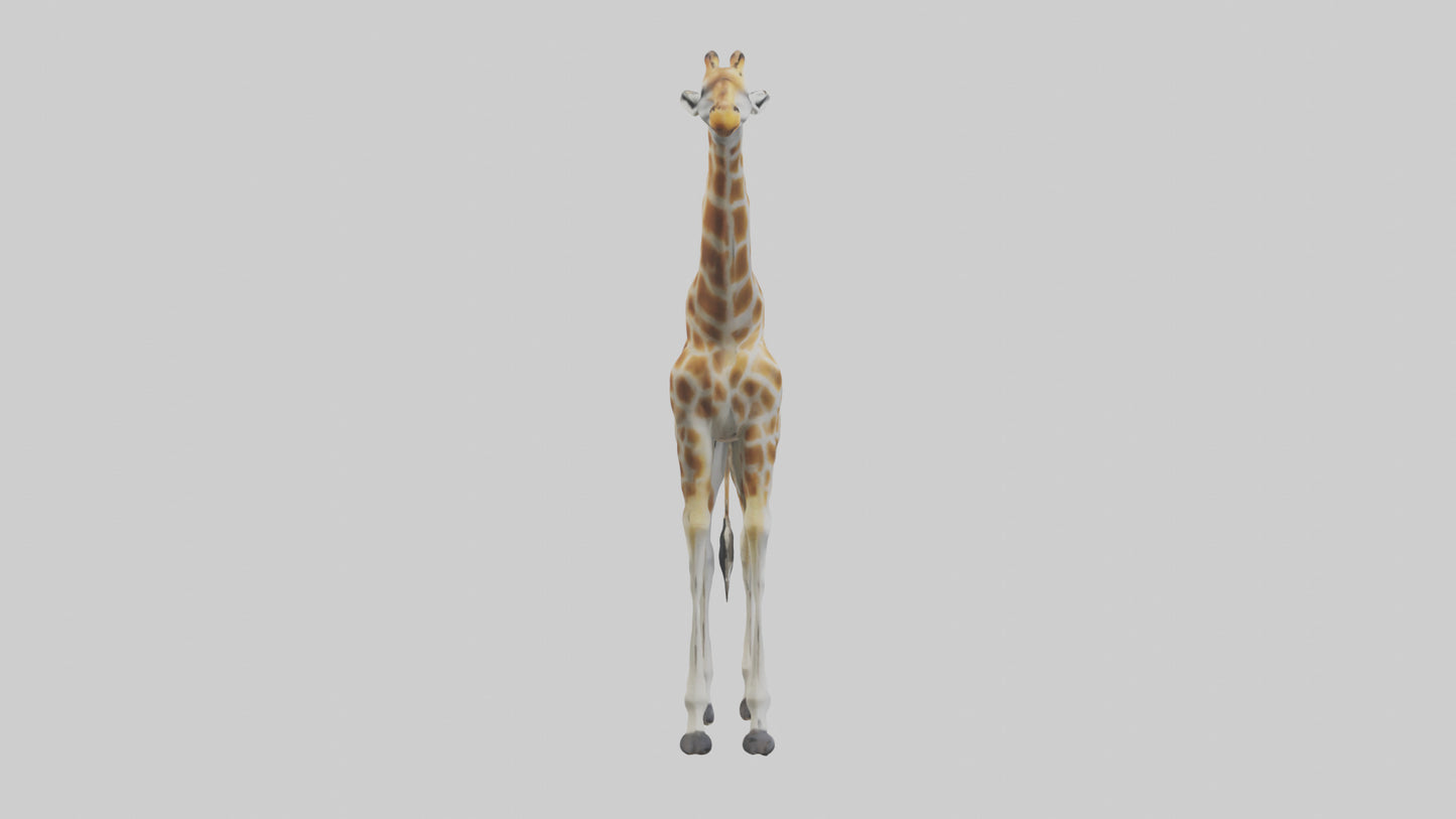 Giraffe Legs Model VR / AR / low-poly
