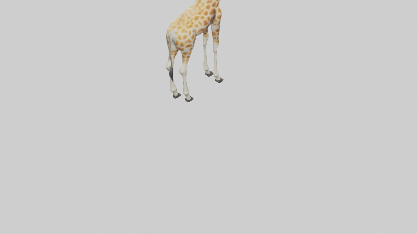 Giraffe Legs Model VR / AR / low-poly