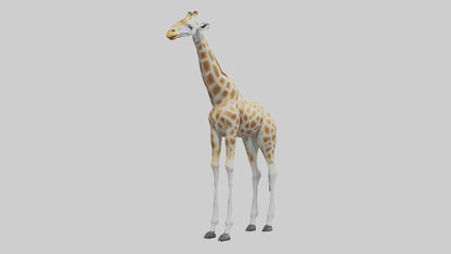 Giraffe Legs Model VR / AR / low-poly
