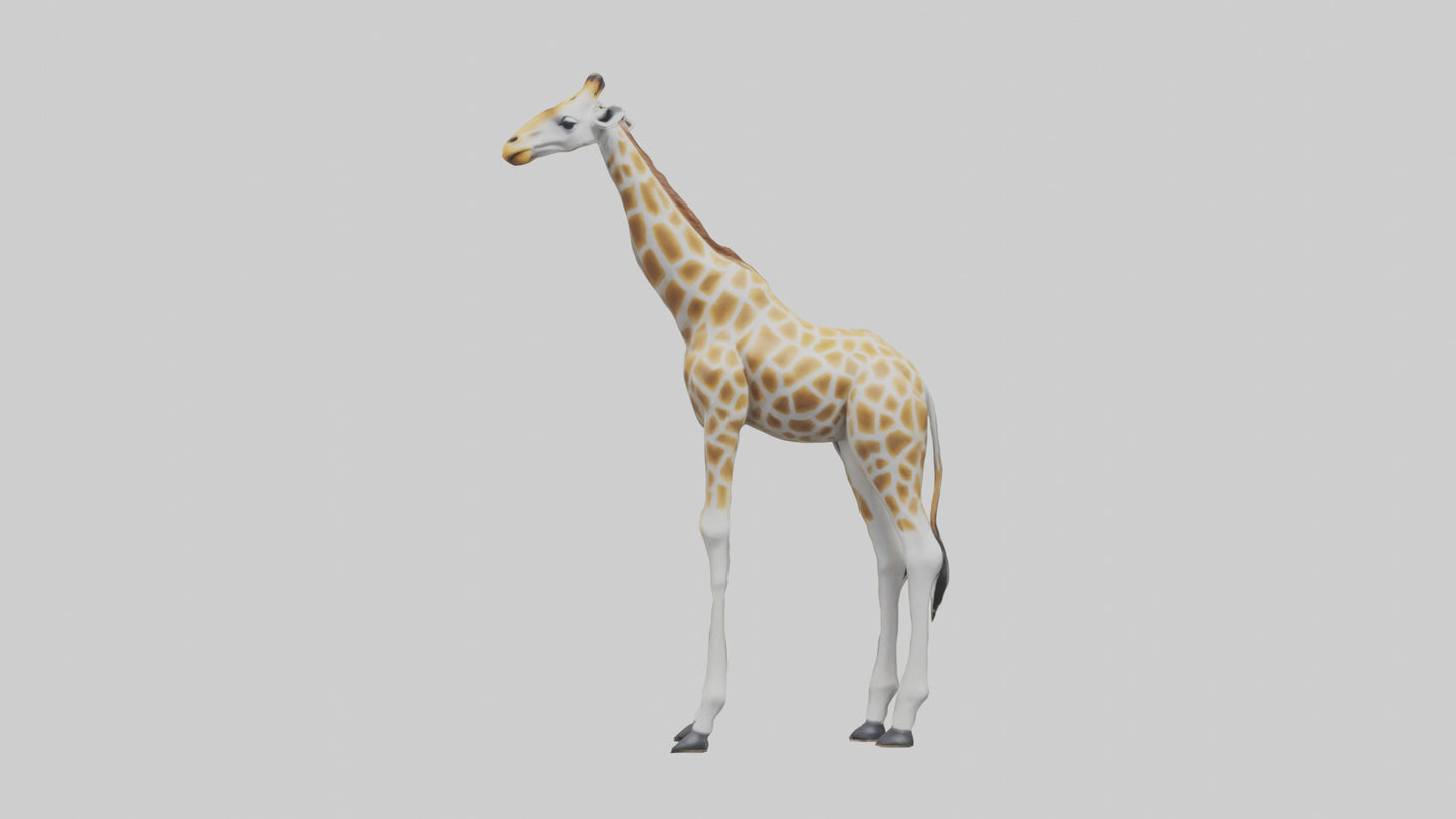 Giraffe Legs Model VR / AR / low-poly