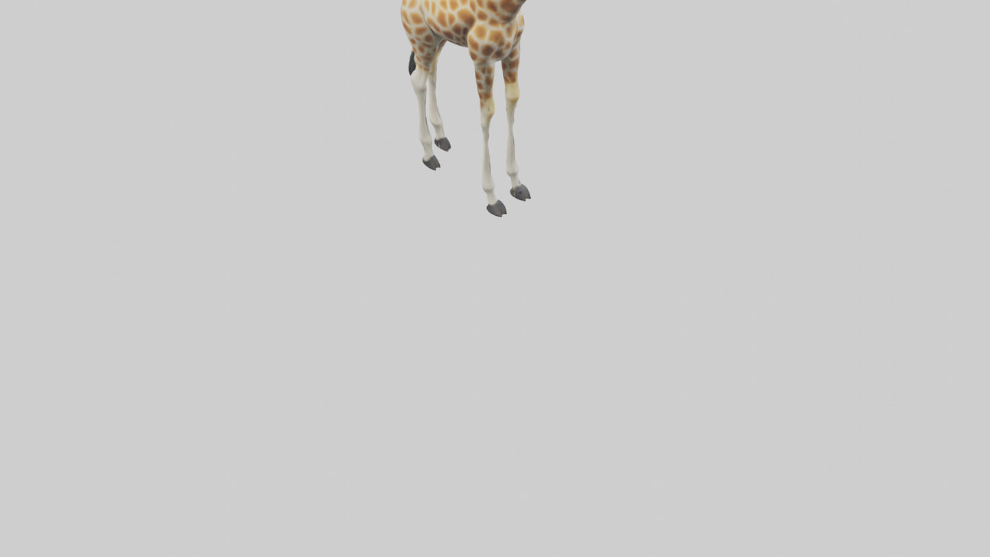 Giraffe Legs Model VR / AR / low-poly