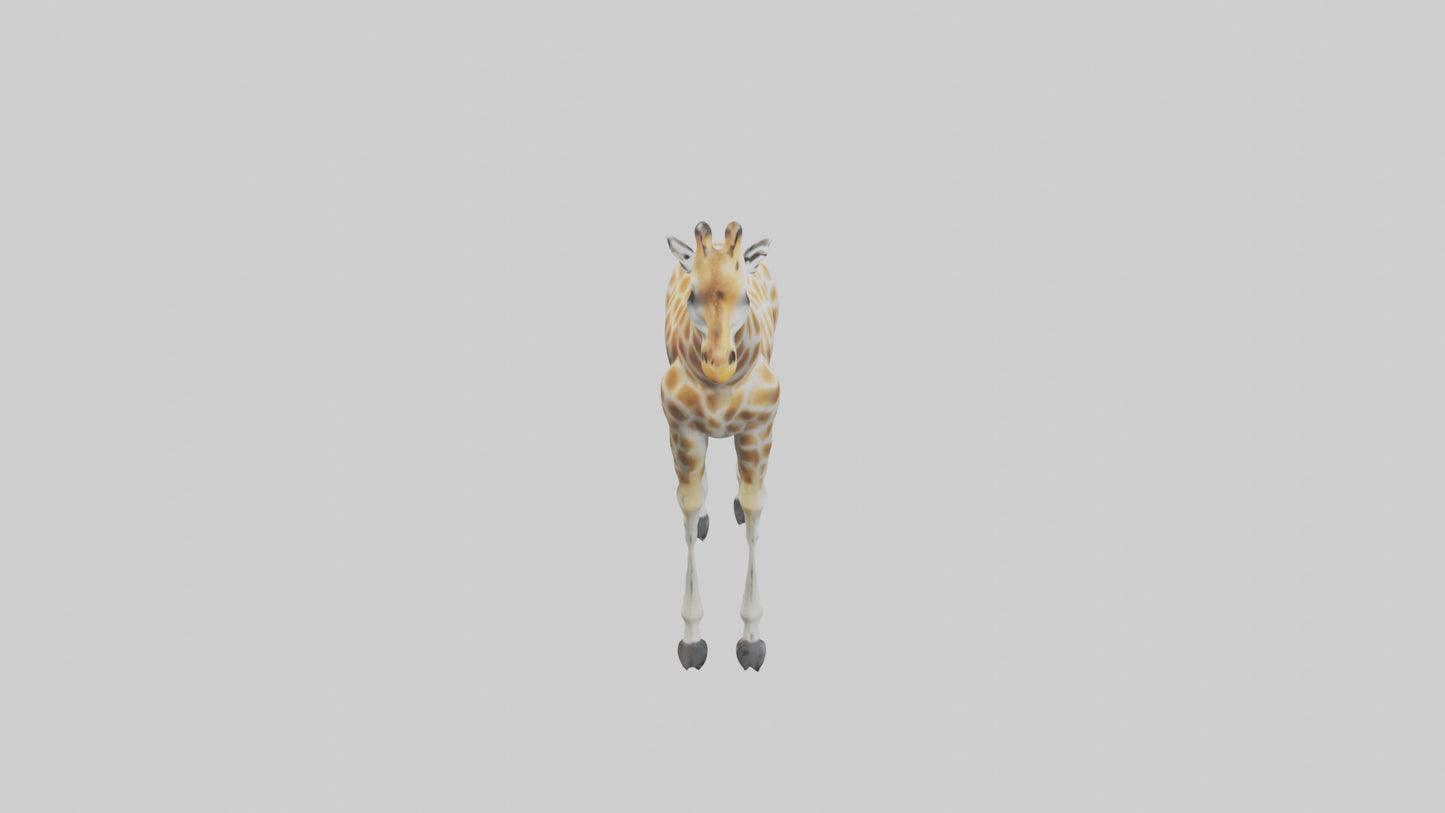 Giraffe Legs Model VR / AR / low-poly