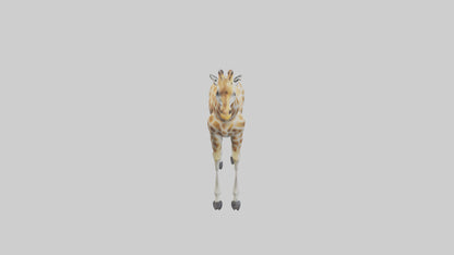 Giraffe Legs Model VR / AR / low-poly