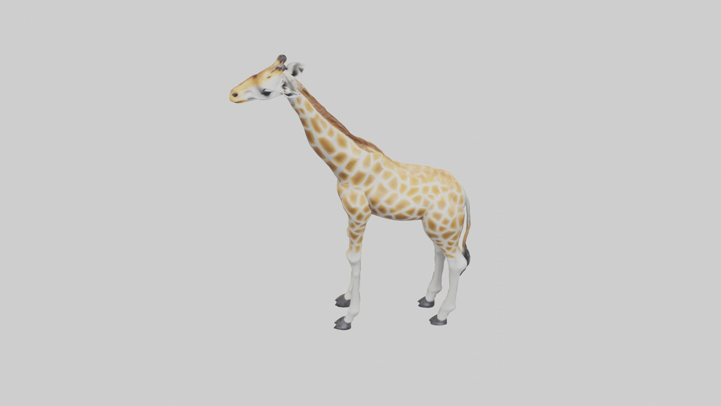 Giraffe Legs Model VR / AR / low-poly