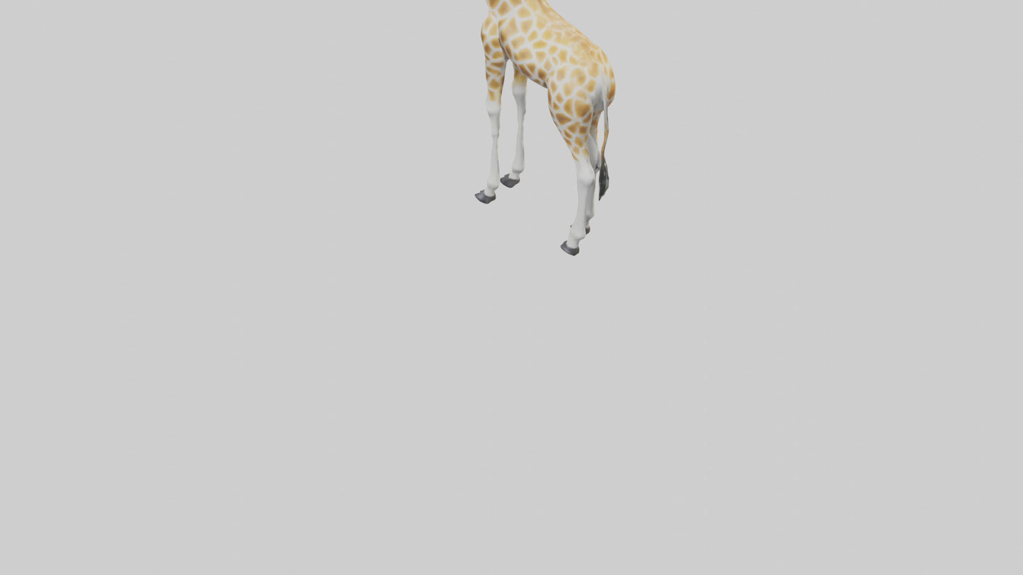 Giraffe Legs Model VR / AR / low-poly
